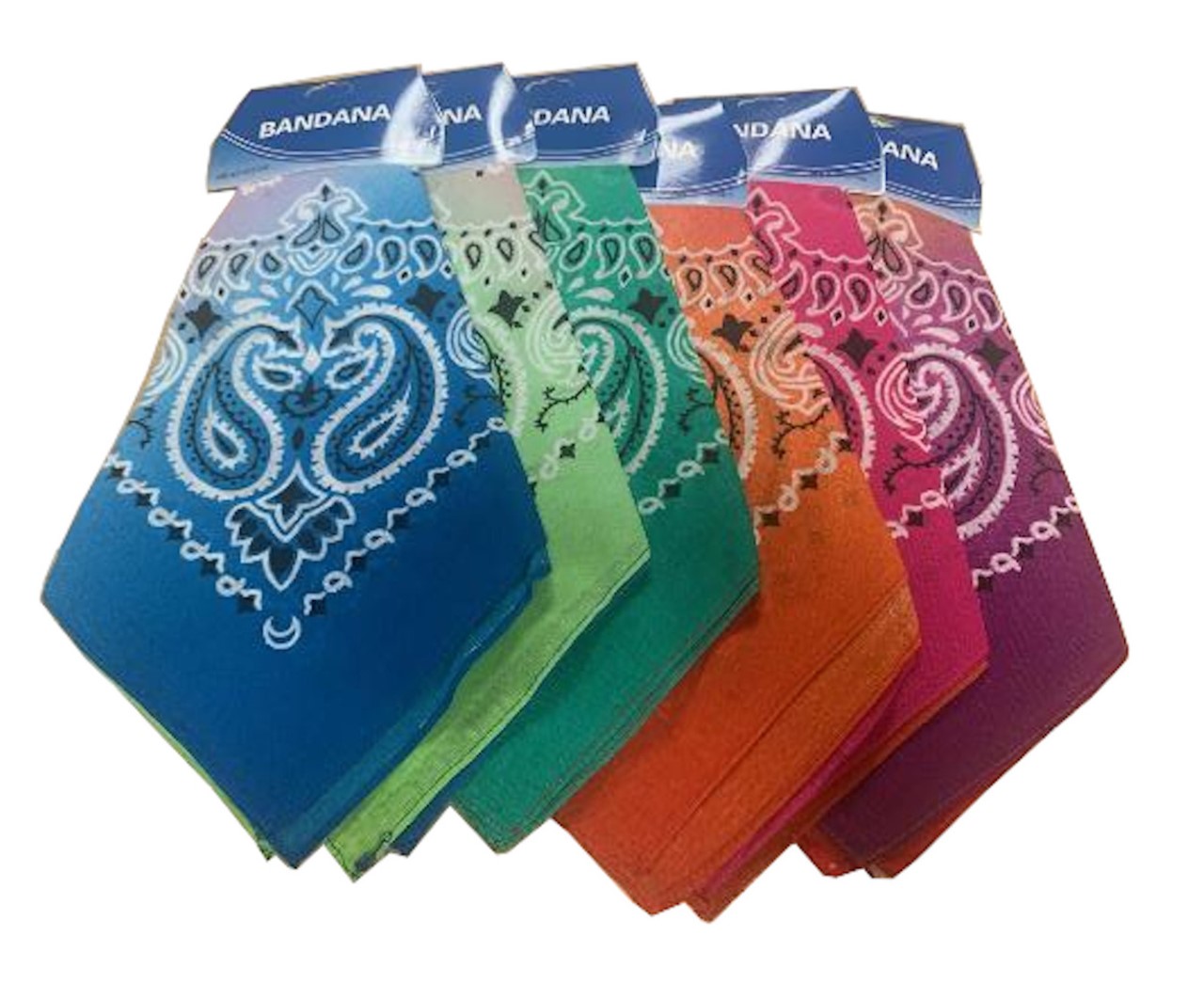 Multi Color Assorted Paisley Bandanas (6 Pk) 22" x 22"