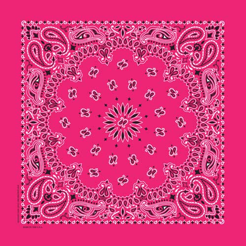 Hot Pink Paisley - 22" x 22" (100% Cotton)