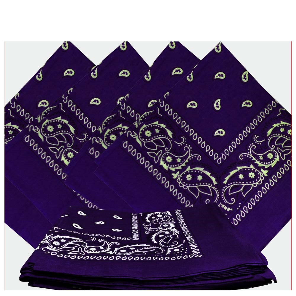 Purple Paisley Bandanas (12 Pack) 22" x 22" 100% Cotton - Click Image to Close