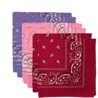 (image for) Paisley Bandanas Hot Pink, Pink, Lavender 22" x 22" Cotton (6 Pk)