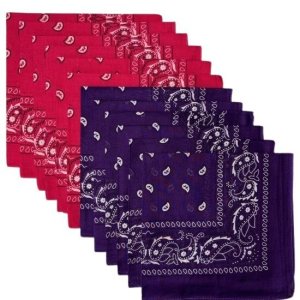 (image for) Hot Pink & Purple Paisley Bandanas (12 Pack) 22" x 22" 100% Cotton