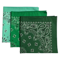 (image for) Hunter, Kelly, Mint USA Made Paisley Bandanas (3 Pk) 22" x 22"