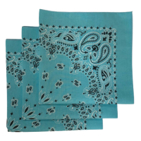 (image for) Light Blue Paisley Bandanas - Made In The USA (3 Pk) 22" x 22"