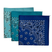 (image for) Light Blue, Mirage, Royal Blue USA Paisley Bandanas (3 Pk) 22"