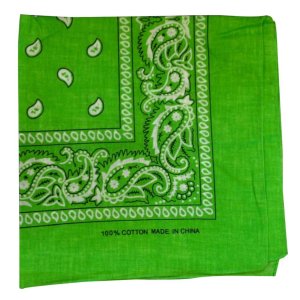 (image for) Light Green Paisley - 22" x 22" (100% Cotton)
