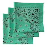 (image for) Mint Paisley Bandanas - Made In The USA (3 Pk) 22" x 22"