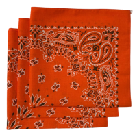 (image for) Orange Paisley Bandanas - Made In The USA (3 Pk) 22" x 22"