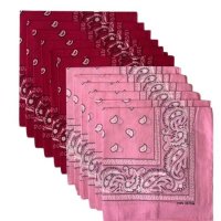 (image for) Paisley Bandanas Pink & Hot Pink 22" X 22" Cotton (12 PK)