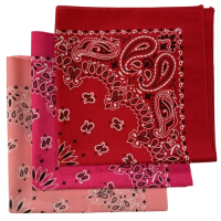 (image for) Pink, Hot Pink, Red USA Made Paisley Bandanas (3 Pk) 22"