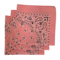 (image for) Pink Paisley Bandanas - Made In The USA (3 Pk) 22" x 22"