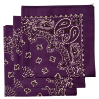 (image for) Purple Paisley Bandanas - Made In The USA (3 Pk) 22" x 22"