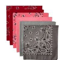 (image for) USA Made Paisley & Solid Grey, Pink, Red 6 PK 22" 100% Cotton