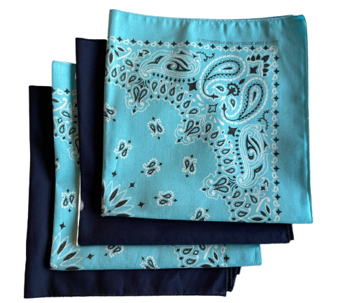 USA Made 2 Light Blue Paisley & 2 Solid Navy 22"x22" 100% Cotton