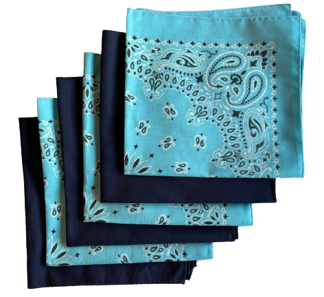USA Made 3 Light Blue Paisley & 3 Solid Navy 22"x22" 100% Cotton