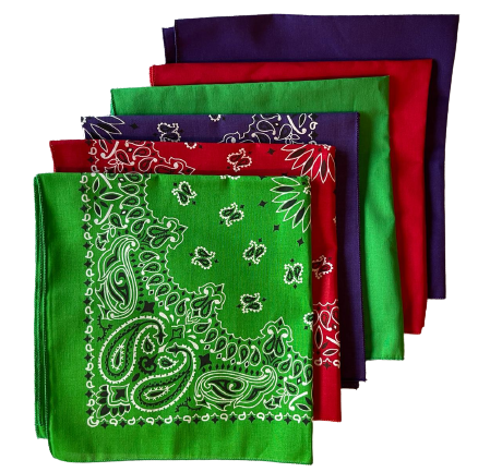 USA Made Paisley & Solid Green, Red, Purple 6 PK 22" 100% Cotton