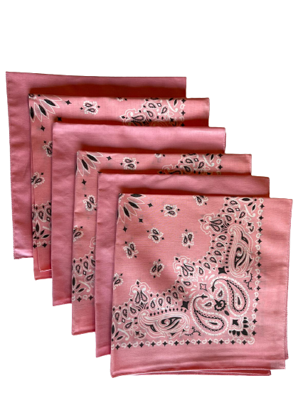 USA Made Paisley & Solid Pink Bandanas 6 Pk 22" 100% Cotton - Click Image to Close