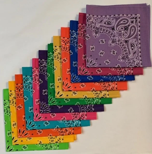 Paisley USA Made 12 Variety Pack - Colors As Shown 22" x 22"