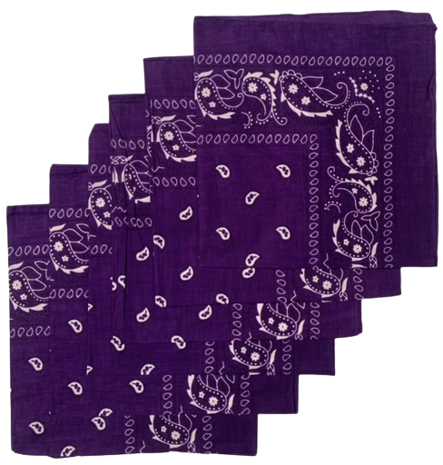 Purple Paisley Bandanas (6 Pack) 22" x 22" 100% Cotton