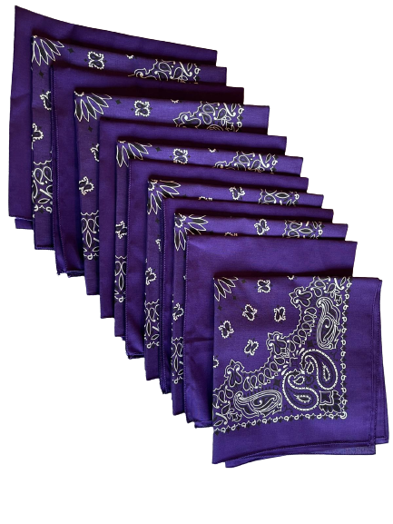 USA Made Paisley & Solid Purple Bandanas 12 Pk 22" 100% Cotton