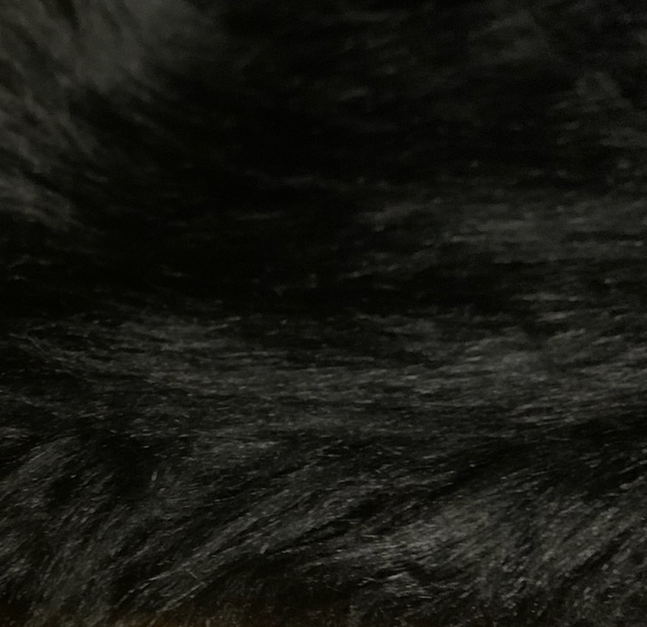 60" Black Faux Fur Fabric By The Yard
