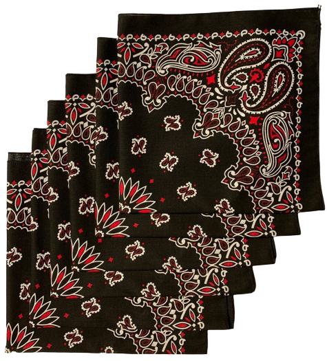 Black and Red Paisley Bandanas - USA Made (6 Pk) 22" x 22"