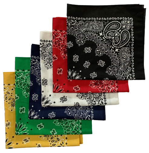 Assorted Paisley Bandanas Made In USA 22" x 22" - 6 Pack Variety - Click Image to Close