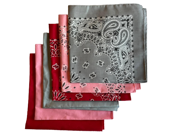 USA Made Paisley & Solid Grey, Pink, Red 6 PK 22" 100% Cotton