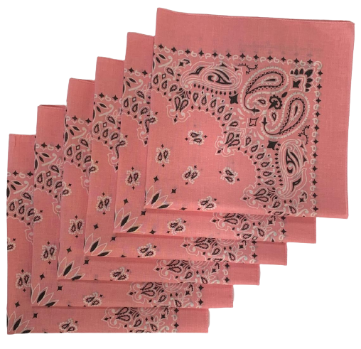 Pink Paisley Bandanas - USA Made (6 Pk) 22" x 22" - Click Image to Close