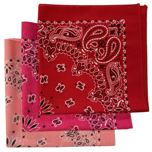Pink, Hot Pink, Red USA Made Paisley Bandanas (3 Pk) 22"