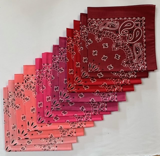 Assorted Paisley Bandanas USA Made 22" x 22" - 12 Pack As Shown