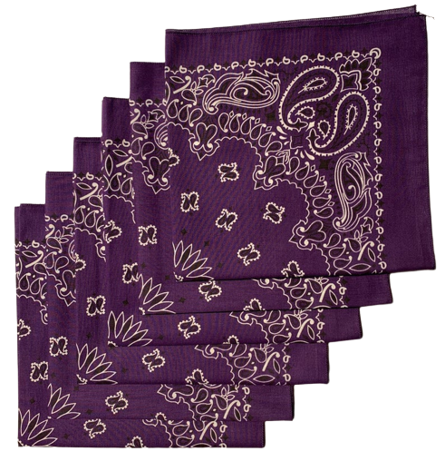 Purple Paisley Bandanas - USA Made (6 Pk) 22" x 22"