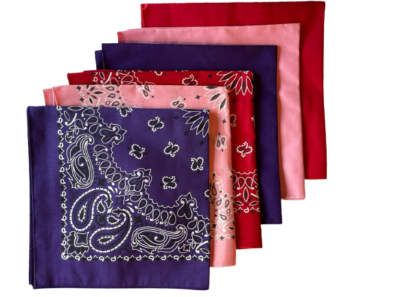 USA Made Paisley & Solid Purple, Pink, Red 6 PK 22" 100% Cotton