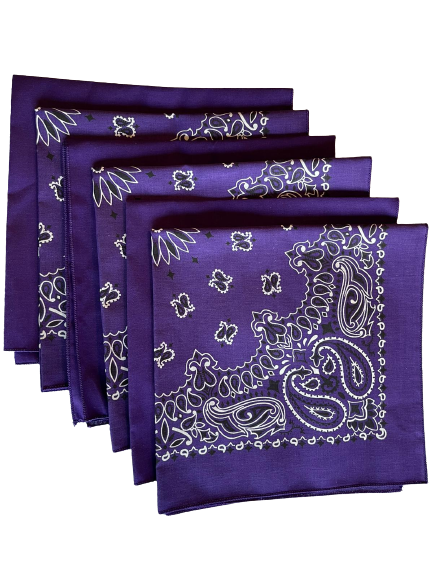 USA Made Paisley & Solid Purple Bandanas 6 Pk 22" 100% Cotton