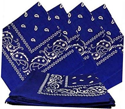 Blue Paisley Bandanas (12 Pack) 22" x 22" 100% Cotton - Click Image to Close