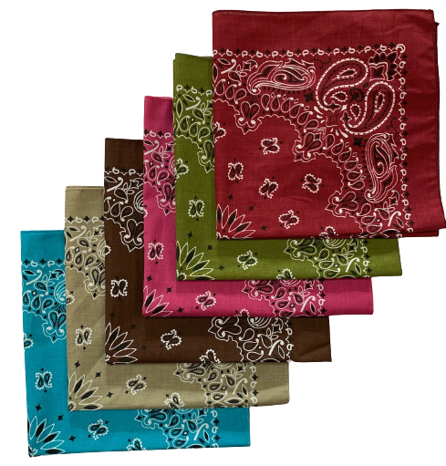 Made in the USA Paisley Bandanas Variety 6 Pack (As Shown) 22"
