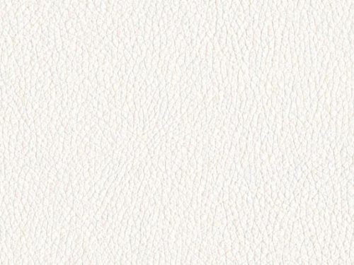 118" White Voile Fabric By The Yard - Click Image to Close