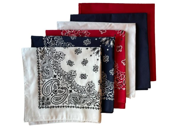 USA Made Paisley & Solid White, Navy, Red 6 PK 22" 100% Cotton