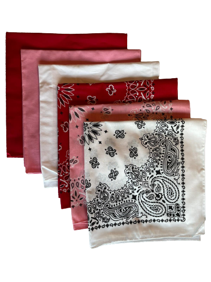 USA Made Paisley & Solid White, Pink, Red 6 PK 22" 100% Cotton