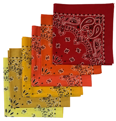 Assorted Paisley Bandanas As Shown USA Made 22" x 22" - 6 Pack